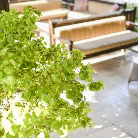 酒店 Pia Bella 凯里尼亚