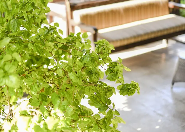 ホテル Pia Bella キレニア